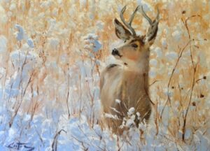 Fresh Snow, Mitch Caster Fine Art, mitchcasterfineart.com, Oil on Canvas, Colorado, Deer
