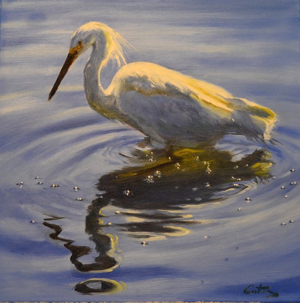 Egrets Water Dance, Birds and Wildlife Painting, Mitch Caster Fine Art, mitchcasterfineart.com