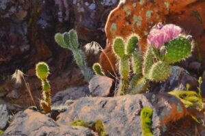 mitchcasterfineart.com, mitch caster, cactus in bloom, colorado artist