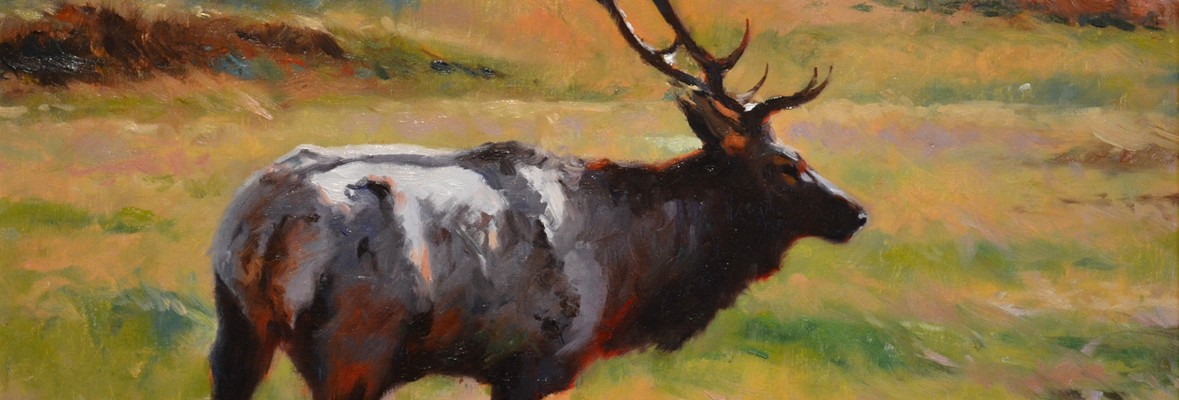 Seeking the Harem, 18x24, mitch caster, mitchcasterfineart.com, oil on canvas